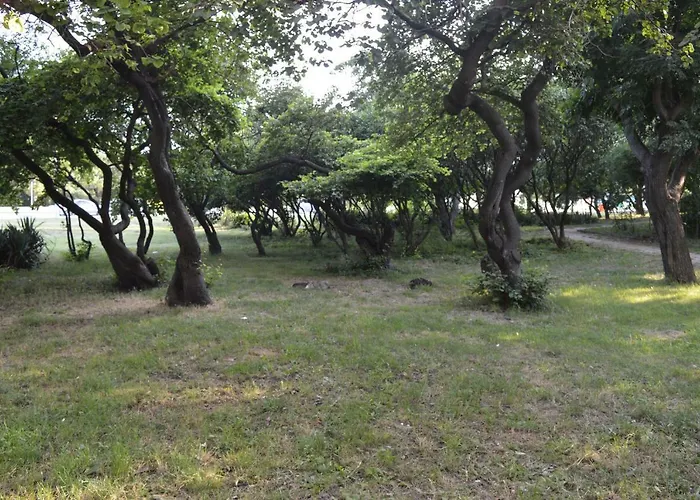 Happy Vacation 2 Варна